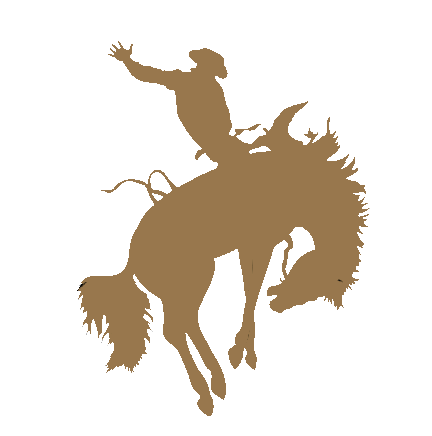 Bronc Riding