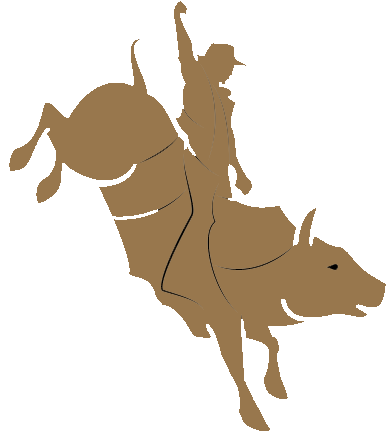 Bull Riding