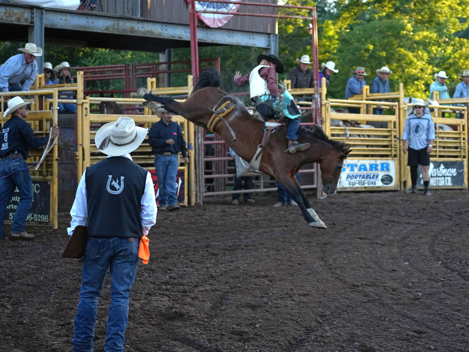 Click_to_enlarge_image Bareback Bronc Riding