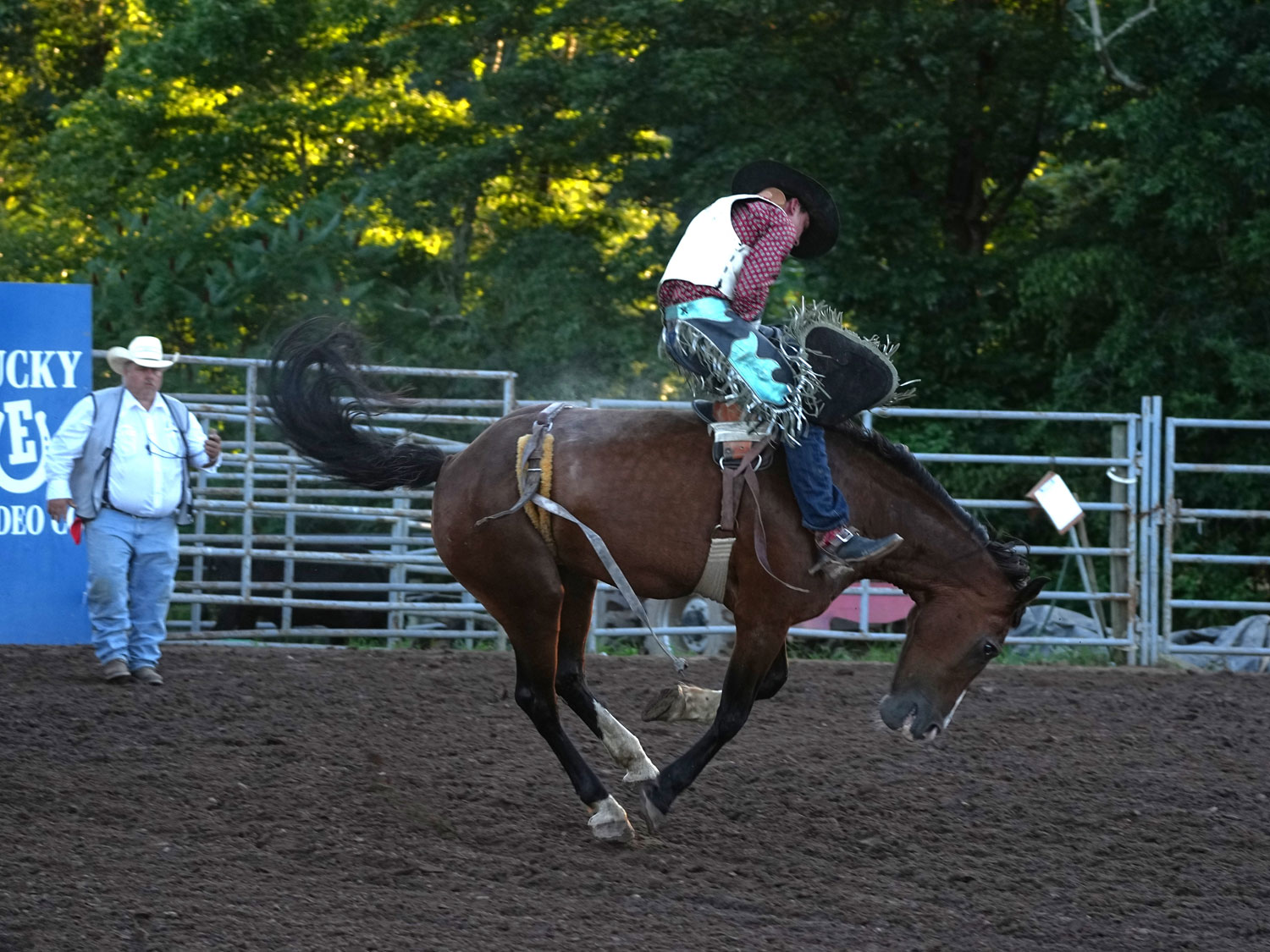 Click_to_enlarge_image Bareback Bronc Riding