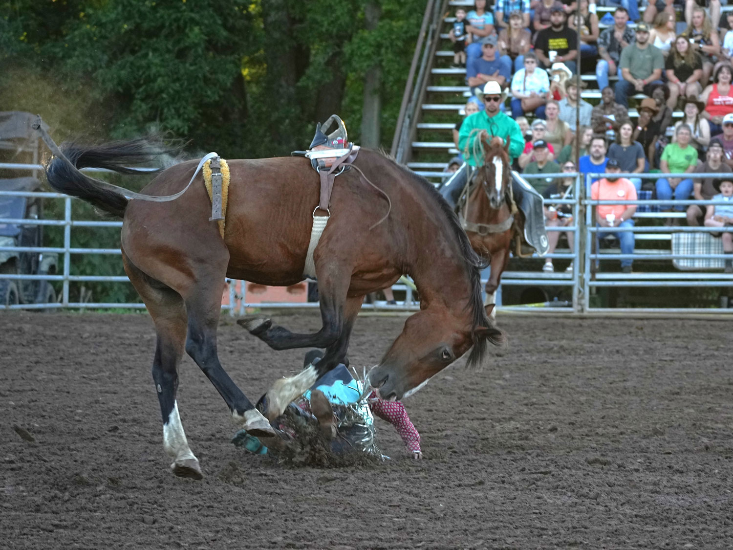 Click_to_enlarge_image Bareback Bronc Riding