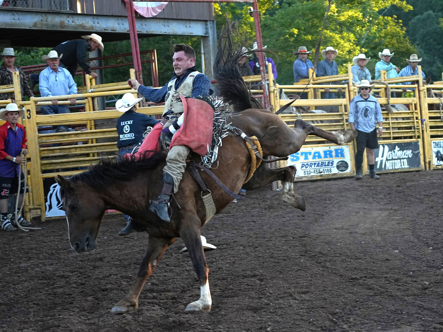 Click_to_enlarge_image Bareback Bronc Riding