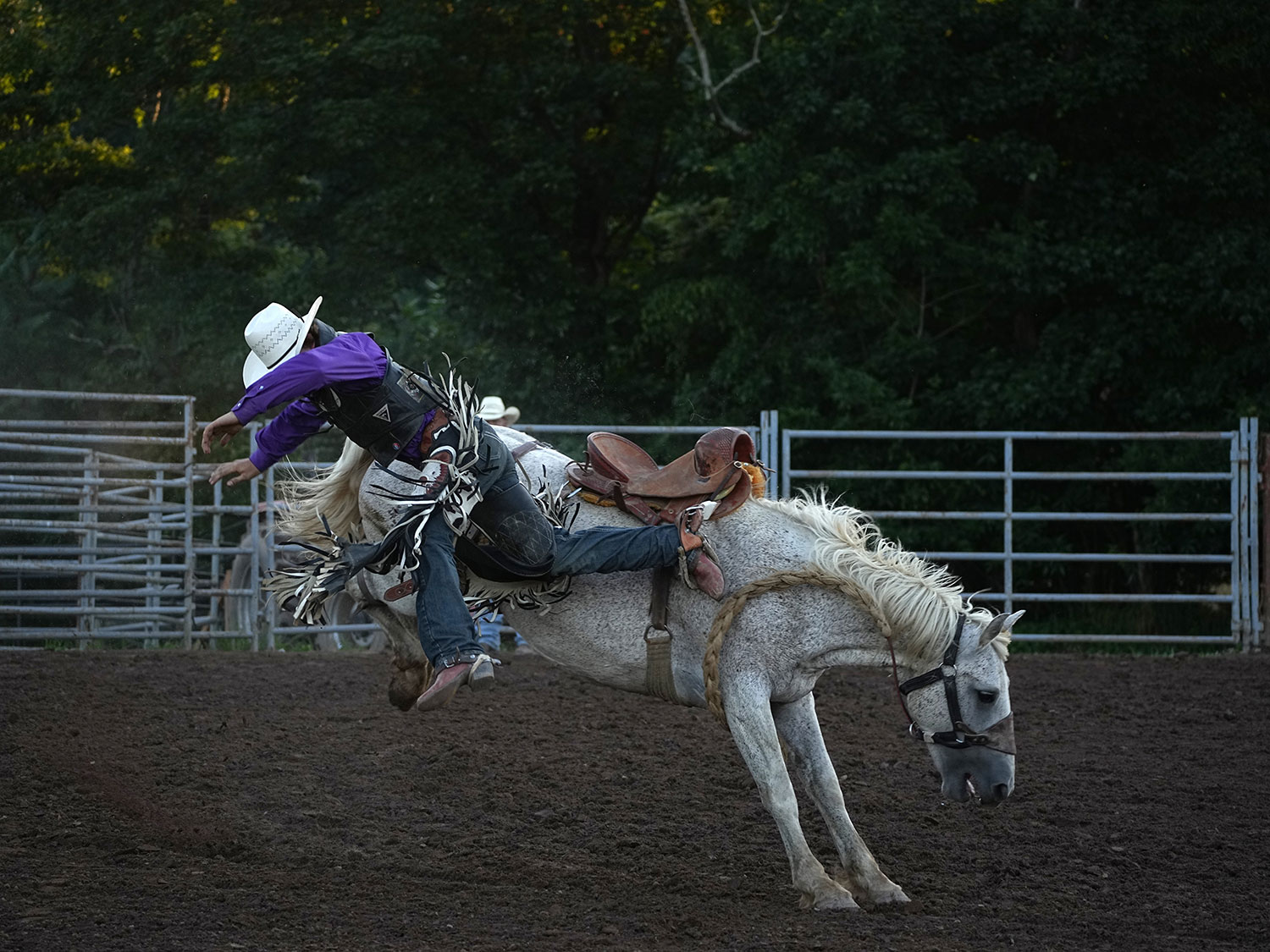Click_to_enlarge_image Saddle Bronc Riding