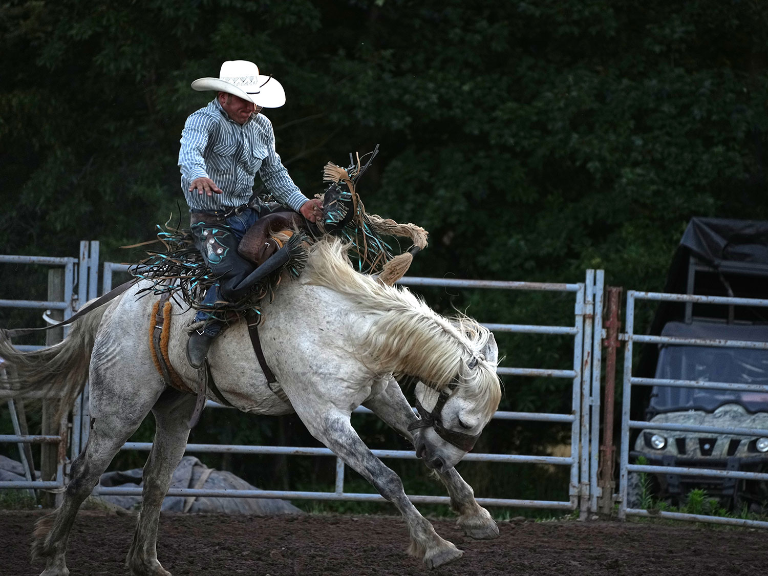 Click_to_enlarge_image Saddle Bronc Riding