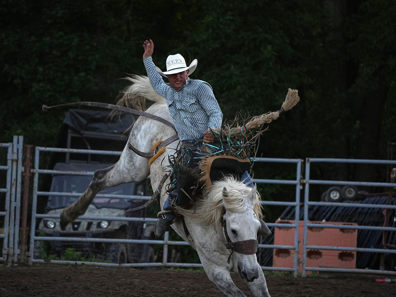 Click_to_enlarge_image Saddle Bronc Riding
