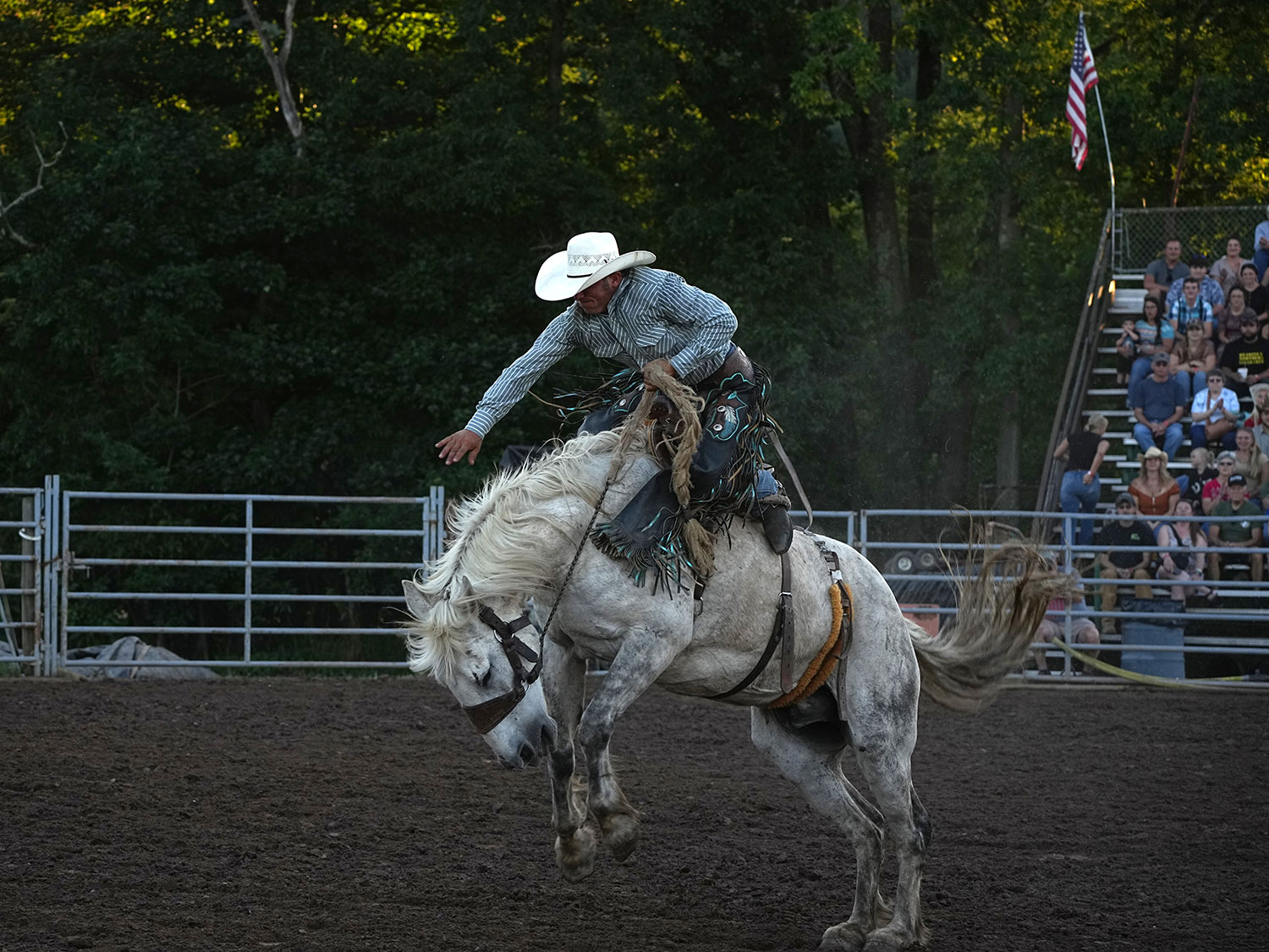 Click_to_enlarge_image Saddle Bronc Riding