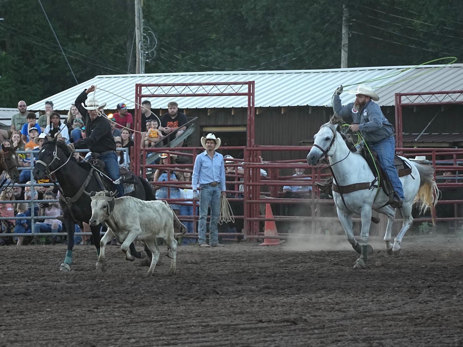 Click_to_enlarge_image Team Calf Roping