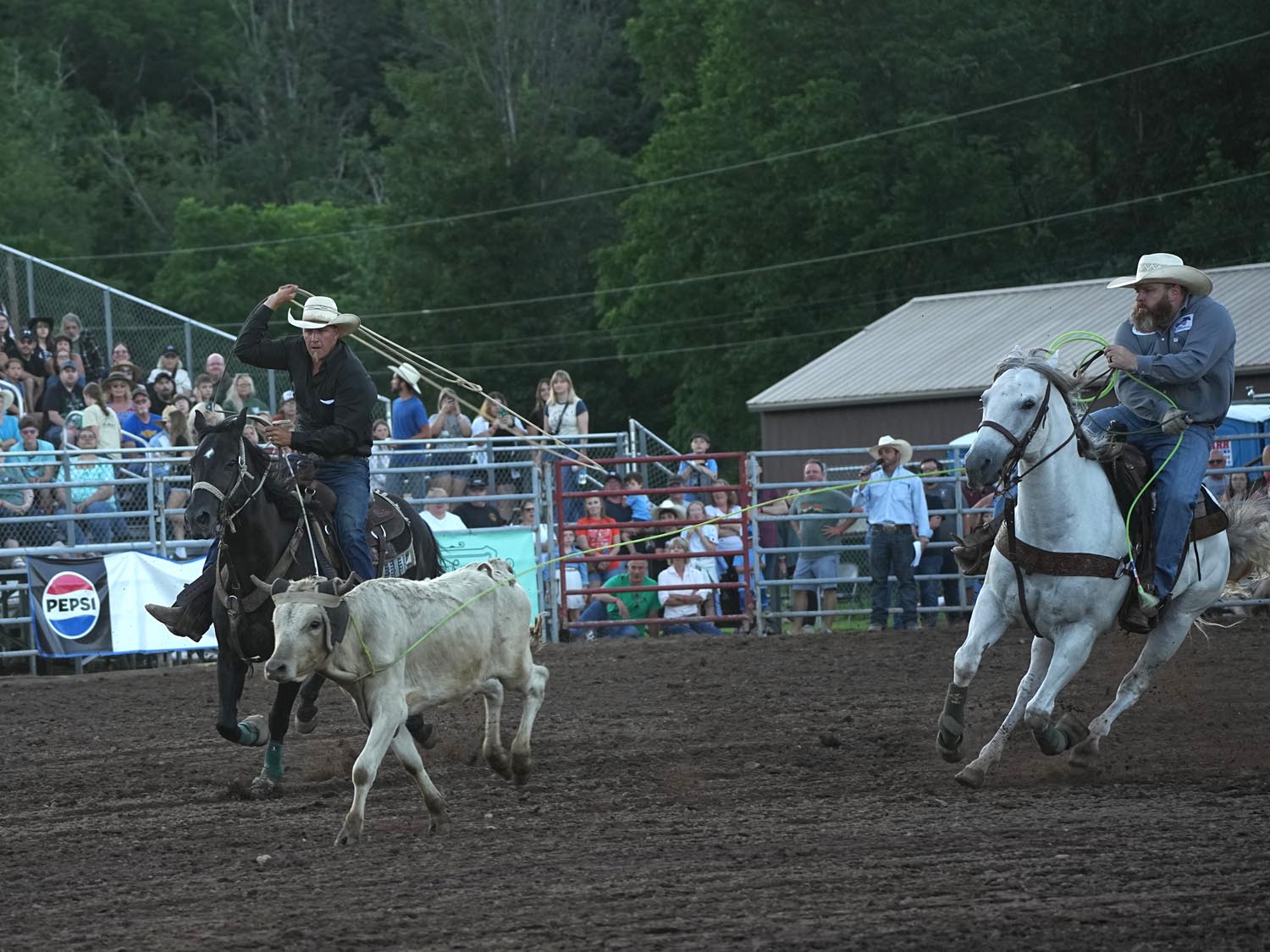 Click_to_enlarge_image Team Calf Roping