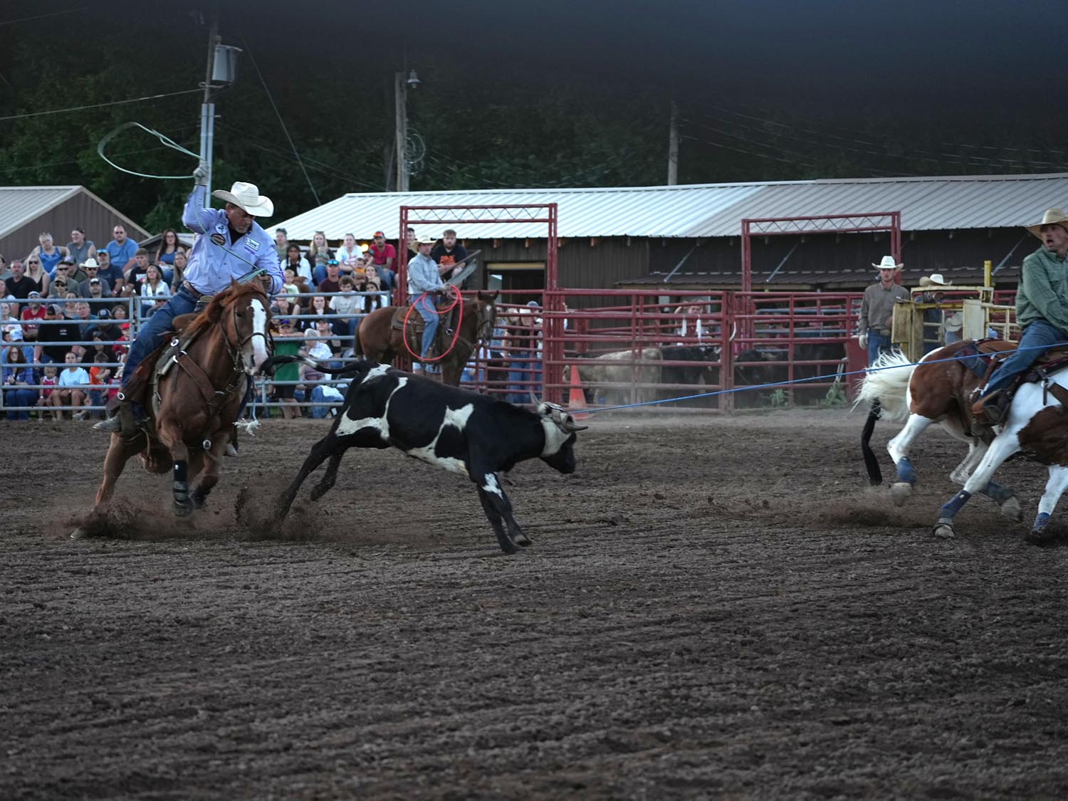Click_to_enlarge_image Team Calf Roping