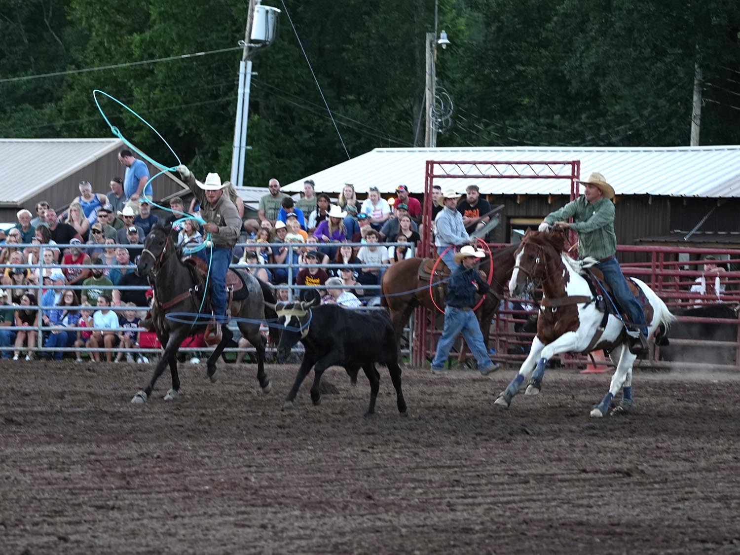 Click_to_enlarge_image Team Calf Roping