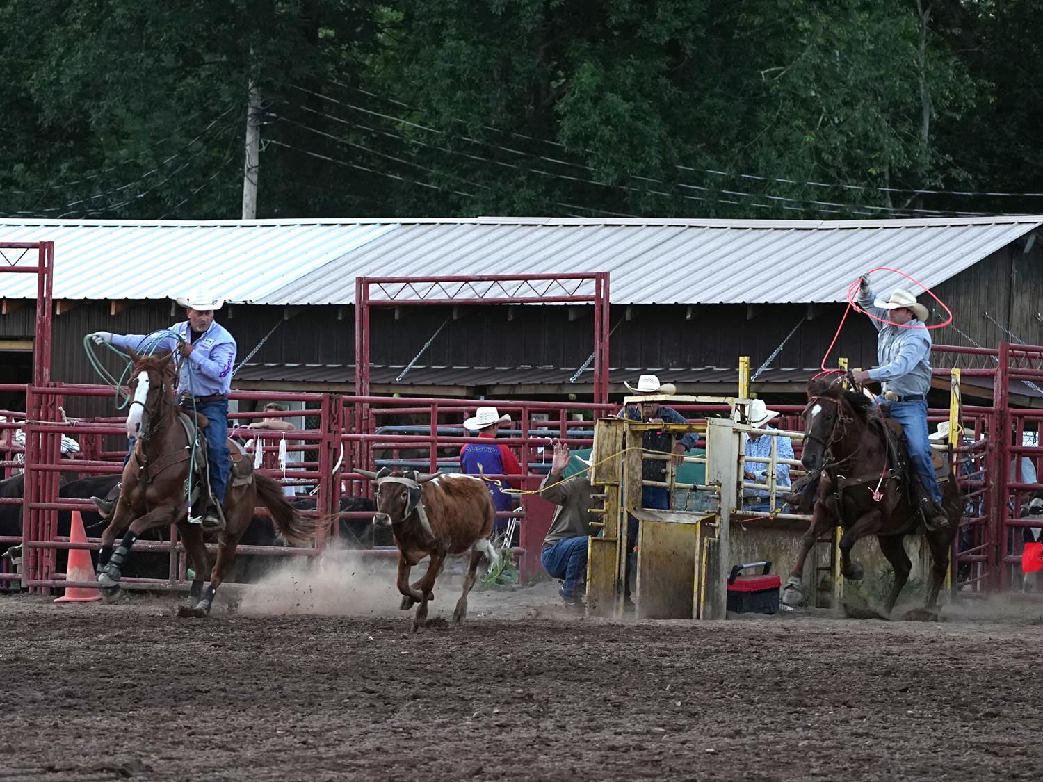 Click_to_enlarge_image Team Calf Roping