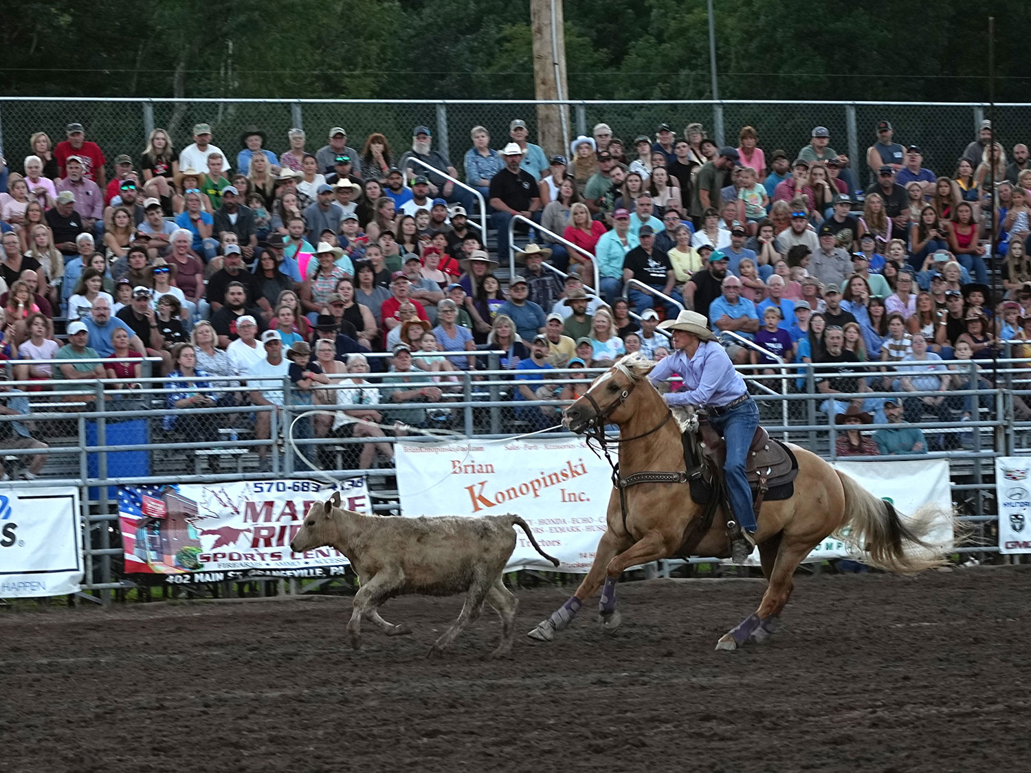 Click_to_enlarge_image Calf Roping