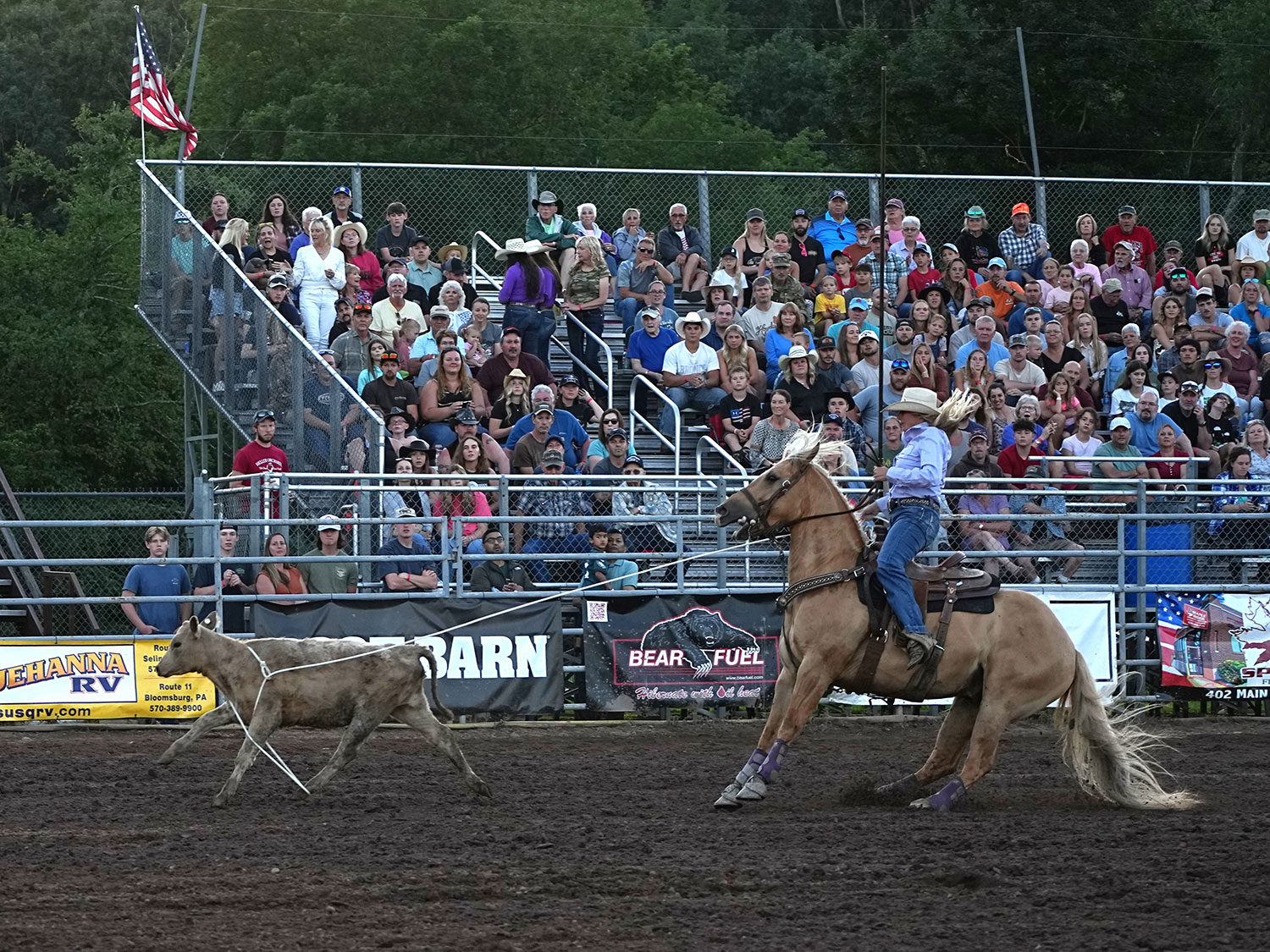 Click_to_enlarge_image Calf Roping