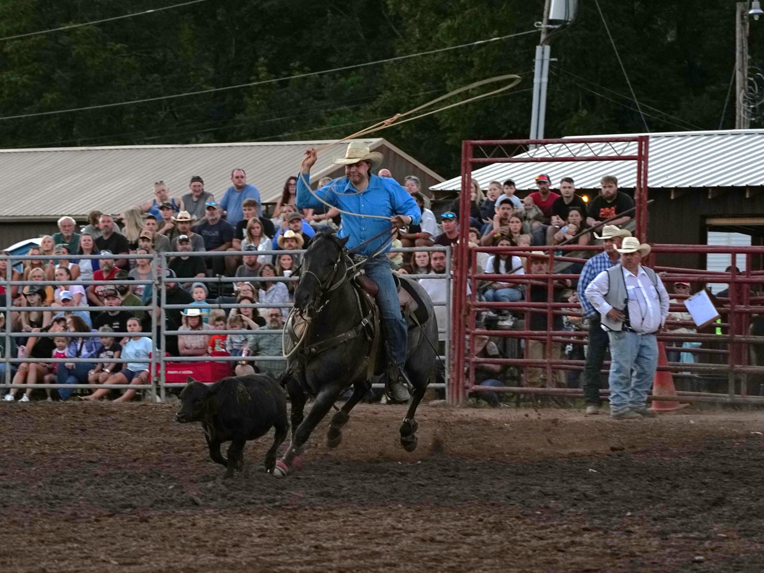 Click_to_enlarge_image Calf Roping