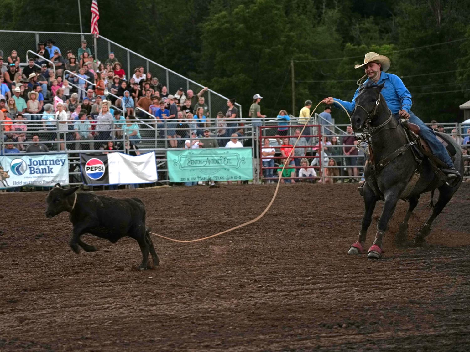 Click_to_enlarge_image Calf Roping
