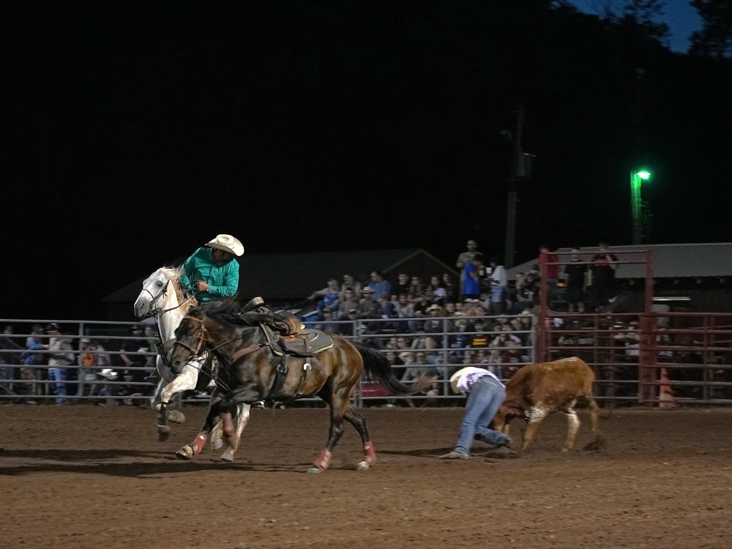 Click_to_enlarge_image Steer Wrestling