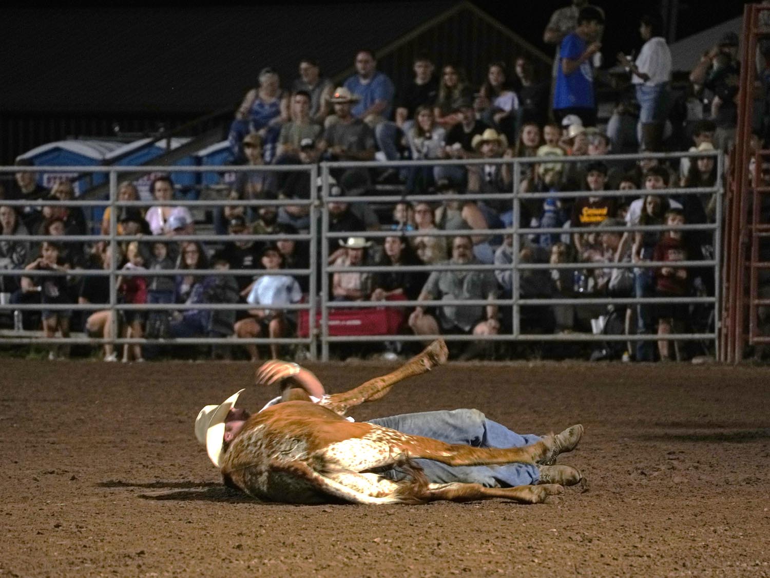 Click_to_enlarge_image Steer Wrestling