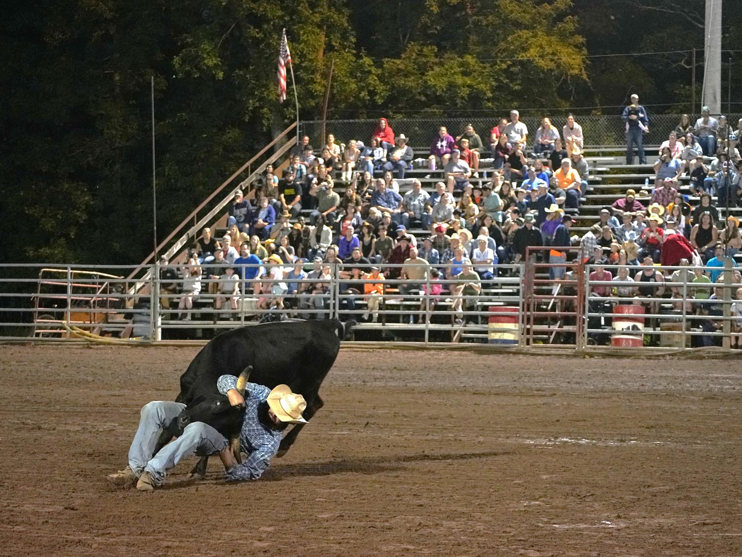 Click_to_enlarge_image Steer Wrestling