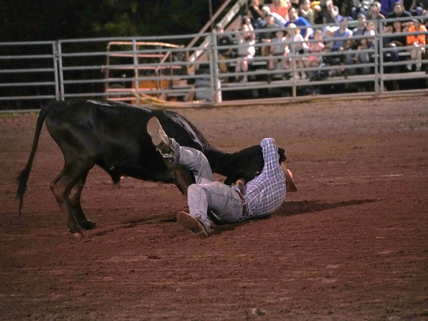 Click_to_enlarge_image Steer Wrestling