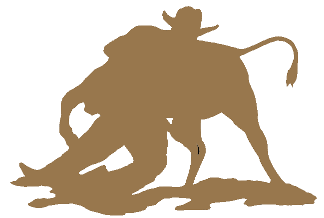 Steer Wrestling