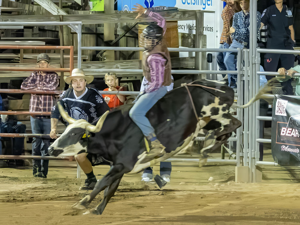 Click_to_enlarge_image Brahma Bull Riding
