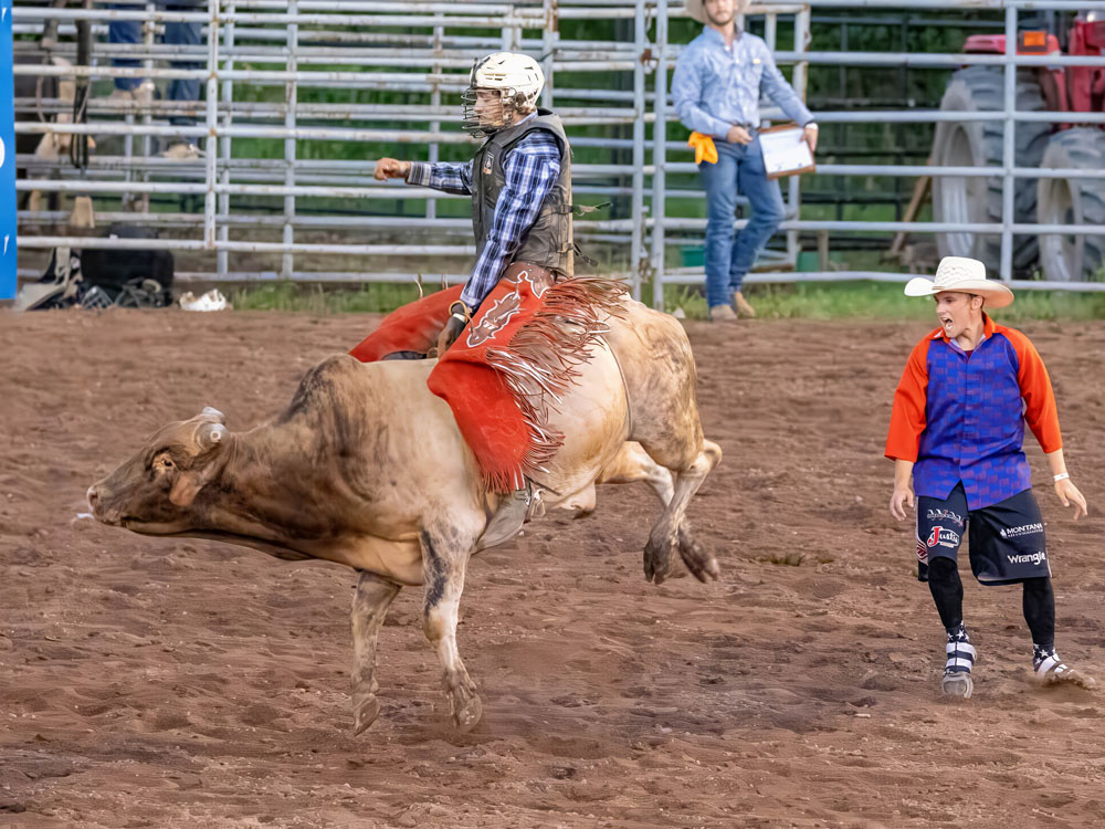 Click_to_enlarge_image Brahma Bull Riding