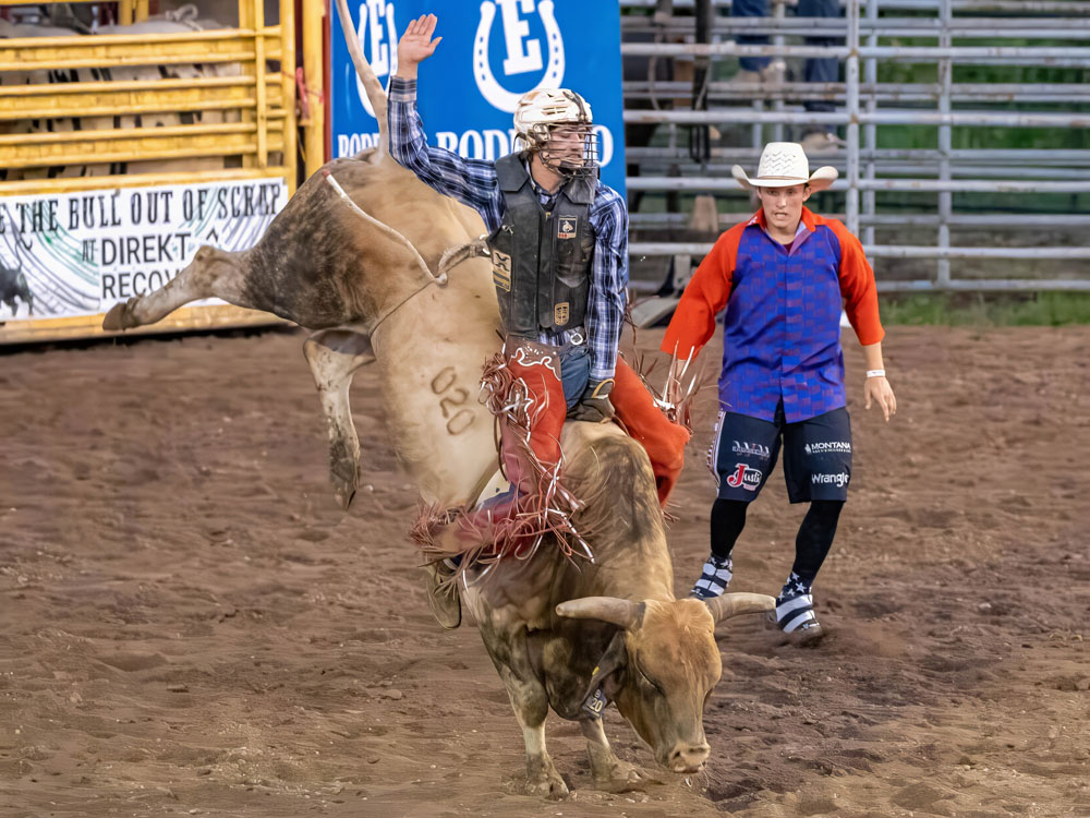 Click_to_enlarge_image Brahma Bull Riding
