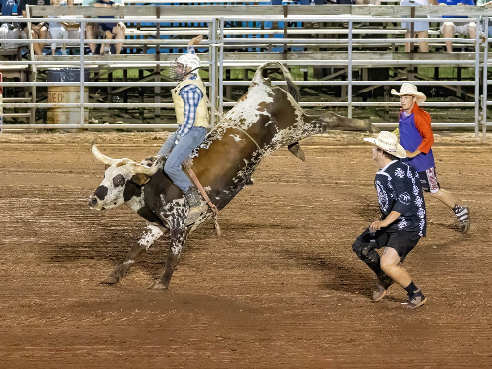 Click_to_enlarge_image Brahma Bull Riding