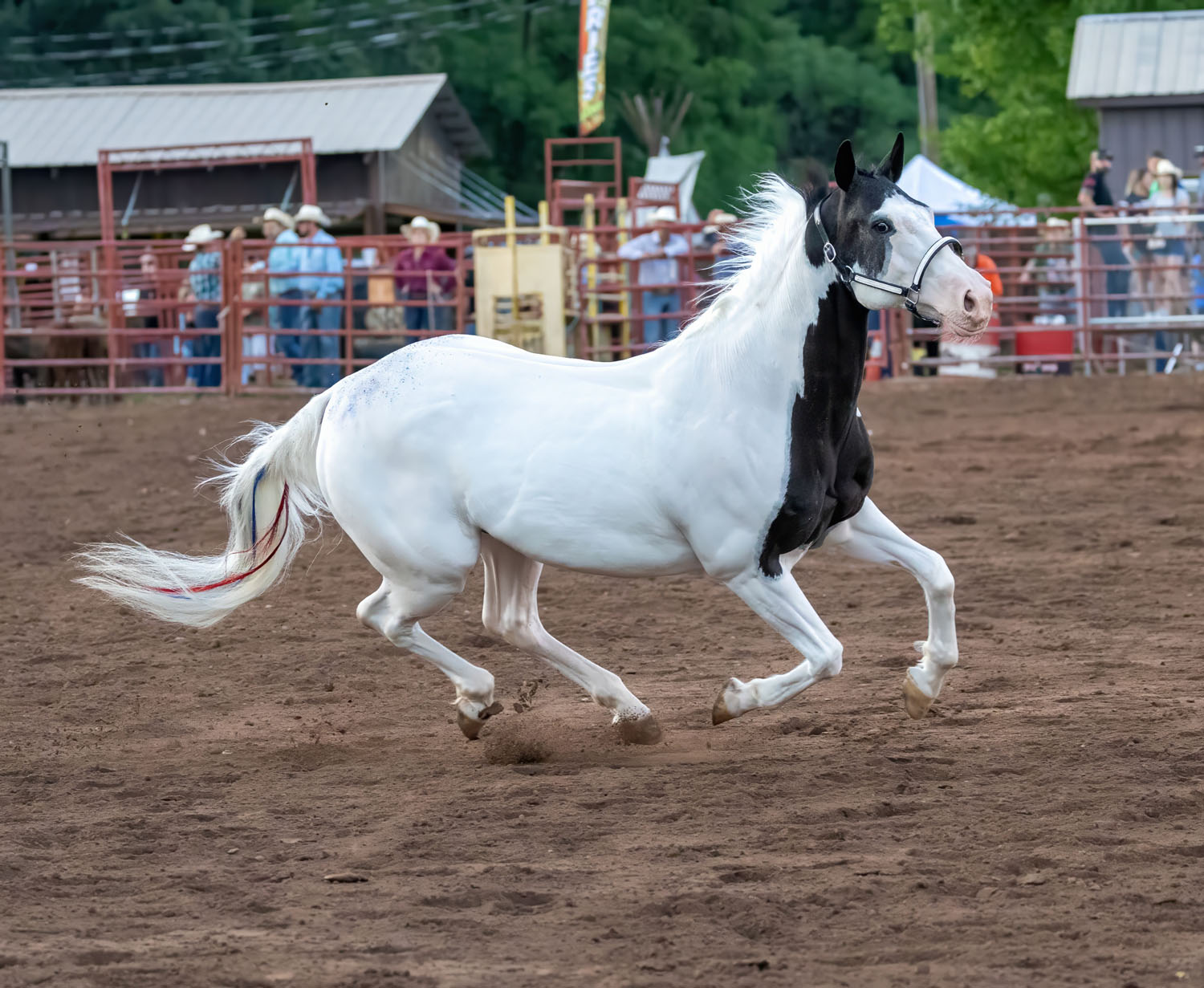 Benton Rodeo 2024